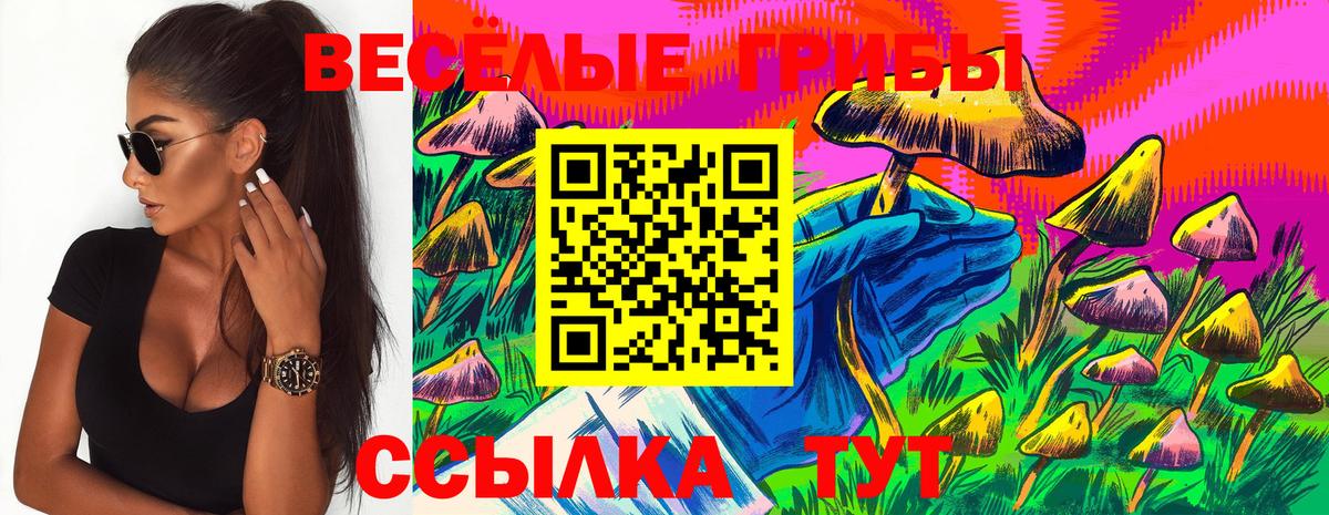 Галлюциногенные грибы Psilocybe  наркошоп  Когалым  Вход с VPN 