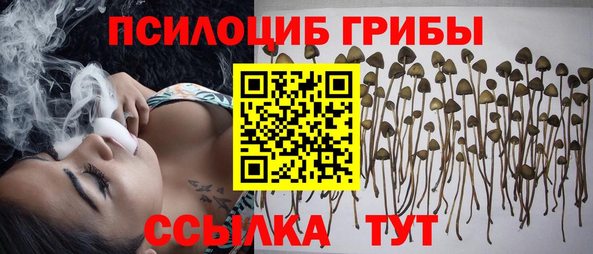 Псилоцибиновые грибы мухоморы Когалым